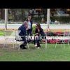 A Cernobbio prove di campo largo: Schlein e Bonelli a ‘tu per tu’