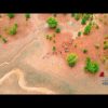 Ambiente: Neya del Gruppo Mundys pianta 2.500 ettari di mangrovie in Madagascar
