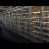Attacco hacker ai supermercati: scongelati centinaia di frigoriferi