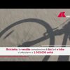 Calano nel 2025 in Italia vendite bici ed e-bike: -4%