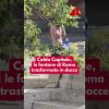 Caldo Capitale, le fontane di Roma trasformate in docce