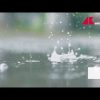 Caldo, Italia respira: bollini rossi scendono da sei a due – Video