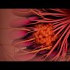Cancro al seno, benessere ed esercizio fisico alleati di un’adeguata terapia