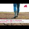 Clima, lo studio: entro fine secolo 40% terre emerse può diventare zona arida