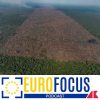 Deforestazione, l’Europa cambia strada e la sinistra protesta