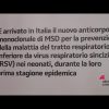 Farmaci: Rsv, Aifa approva anticorpo monoclonale che protegge dal virus respiratorio sinciziale