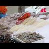 Fermo pesca in tutto l’Adriatico, lo stop fino al 29 settembre
