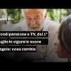 Fondi pensione e Tfr, 1° luglio in vigore le nuove regole: cosa cambia
