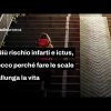 Giù rischio infarti e ictus, la dose di rampe che allunga la vita