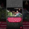 Il cane Baloo non riesce più a camminare perché esausto, soccorso dai Vigili del fuoco in montagna