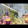 Incendio a Castel Porziano, Canadair in azione a Ostia