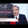 Legno, Semeraro (Rilegno): “Dal recupero al riutilizzo, l’economia circolare si costruisce con i