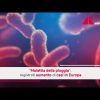 Malattia della pioggia, aumento dei casi in Europa