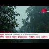 Maltempo devasta ettari di coltivazioni nel Centro-Nord