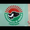 Mozzarella di Bufala Campana Dop, il Made in Italy che unisce tradizione e innovazione