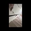 Terremoto in Venezuela, la fuga dal palazzo distrutto – Video