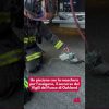 Un piccione con la maschera per l’ossigeno, il soccorso dei Vigili del Fuoco di Oakland