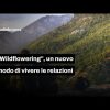 Wildflowering, cos’è il dating in controtendenza dell’estate 2026