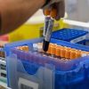 Fegato, un test per scoprire il rischio di gravi malattie entro 10 anni: lo studio