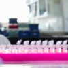 Tumori, nel Dna spazzatura molecole alleate: lo studio Italia-Usa