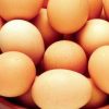 Salmonella, alert negli Usa: quasi 100 casi e uova ritirate dal mercato