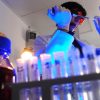 Storia genetica di un superbatterio killer, così l’Acinetobacter baumannii è diventato invulnerabile