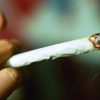 Cannabis, potenza in aumento: 5 cose da sapere su rischio psicosi