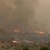 Israele in fiamme, l’appello di Hamas: “Bruciate tutto per vendicare Gaza”