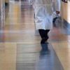 Neurologi Sin replicano a specialista Usa: “Ssn non è perfetto ma pubblico”