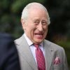 Carlo III, ricchezza in aumento: in un anno incassati 30 milioni di sterline