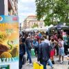 FalComics 2025: successo straordinario per il festival di Cultura Pop