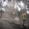 Israele ancora in fiamme, Netanyahu: “18 arresti per sospetto incendio doloso”