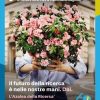 L’Azalea della ricerca Airc torna a sbocciare per la salute delle donne