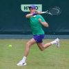 Atp Halle, oggi Sinner-Hanfmann – Il match in diretta