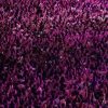 Concerto Radio Italia, stasera 27 giugno a Palermo: cantanti, scaletta, orari