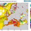 Mare rovente, il Mediterraneo si scalda per la ‘Marine Heatwave’: cos’è il fenomeno