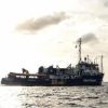 Migranti, Sea Watch: “Avvistati cadaveri al largo delle coste libiche”