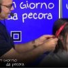 Schlein si tinge ciocca rossa per scommessa: “Un po’ alla Mirko dei Bee Hive”