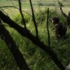 Ucraina, raffica di droni sulla Russia. Mosca colpisce base aerea