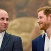 “William e Harry litigavano per le faccende domestiche”: la rivelazione
