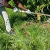Caldo, Rebuzzi: “Può uccidere, impedire lavoro all’aperto nella morsa dell’afa”