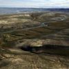 Ricerca, da proteine vecchie 20 milioni di anni svolta per gli studi sull’evoluzione