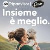 Vacanze, quasi la metà italiani rinuncia a viaggiare con il proprio cane