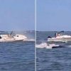 Balena contro barca, animale muore e uomo in mare