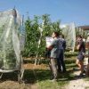Bonus agricoltori, al via da oggi le domande: a chi spetta e come funziona