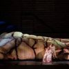 Festival Puccini, soprano cade in scena ma conclude la ‘Manon’ da seduta