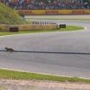 Formula 1, ‘invasione di campo’ in Olanda. Leclerc: “C’è una volpe in pista”