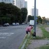 “Io sopravvissuta allo stesso incidente della signora Cecilia a Milano, mai avuto giustizia”