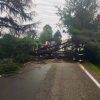 Maltempo al centronord, alberi caduti e allagamenti: oltre 1300 gli interventi dei Vigili del Fuoco