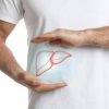 Steatosi epatica, studio dimostra efficacia nutraceutico con alghe brune